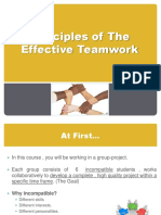 Principles of The Effective Teamwork