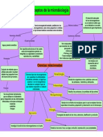 Mapa Conceptual