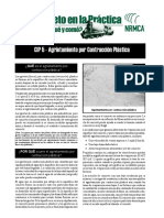 CIP5es.pdf