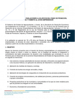 Convocatoria Fondo de Promoción, Impulso y Fomento Al Joven Emprendedor