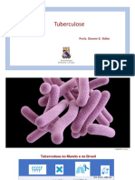 Tuberculose 2018