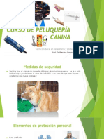 Curso de Peluquería Canina