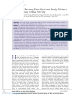 Longterm Recovery From Hurricane Sandy Evidence From A Survey in New York City