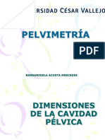 Dimensiones y diámetros de la pelvis femenina