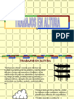 PS-203 Trabajos en Altura Dup