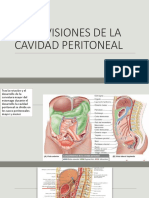 Subdivisiones de La Cavidad Peritoneal