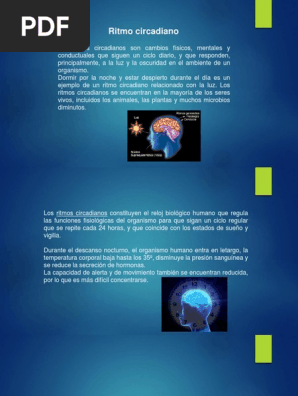 Ritmo infradiano online