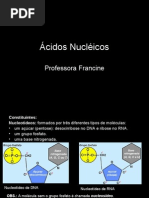 Biologia PPT - Ácidos Nucléicos