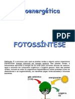 Biologia PPT - Botânica - Fotossíntese