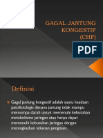 CHF Dan PJK Paper Fauzan (1)