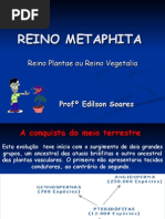 Biologia PPT - Botânica - Reino Metaphita