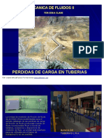 4891921-PERDIDAS-DARCY.doc