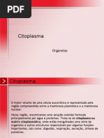 Biologia PPT - Citoplasma - Organelas