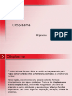 Biologia PPT - Citoplasma - Organelas