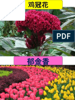 花花世界