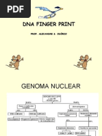 Biologia PPT - DNA Genoma