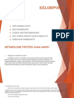 Klompok 3 Metabolisme Protein