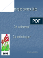 setas_y_hongos_comestibles.pdf