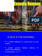 Biologia PPT - Genoma Humano