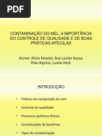 Contaminação Do Mel