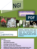 Wahyuningsih (f1c116084) Metabolisme Fungi