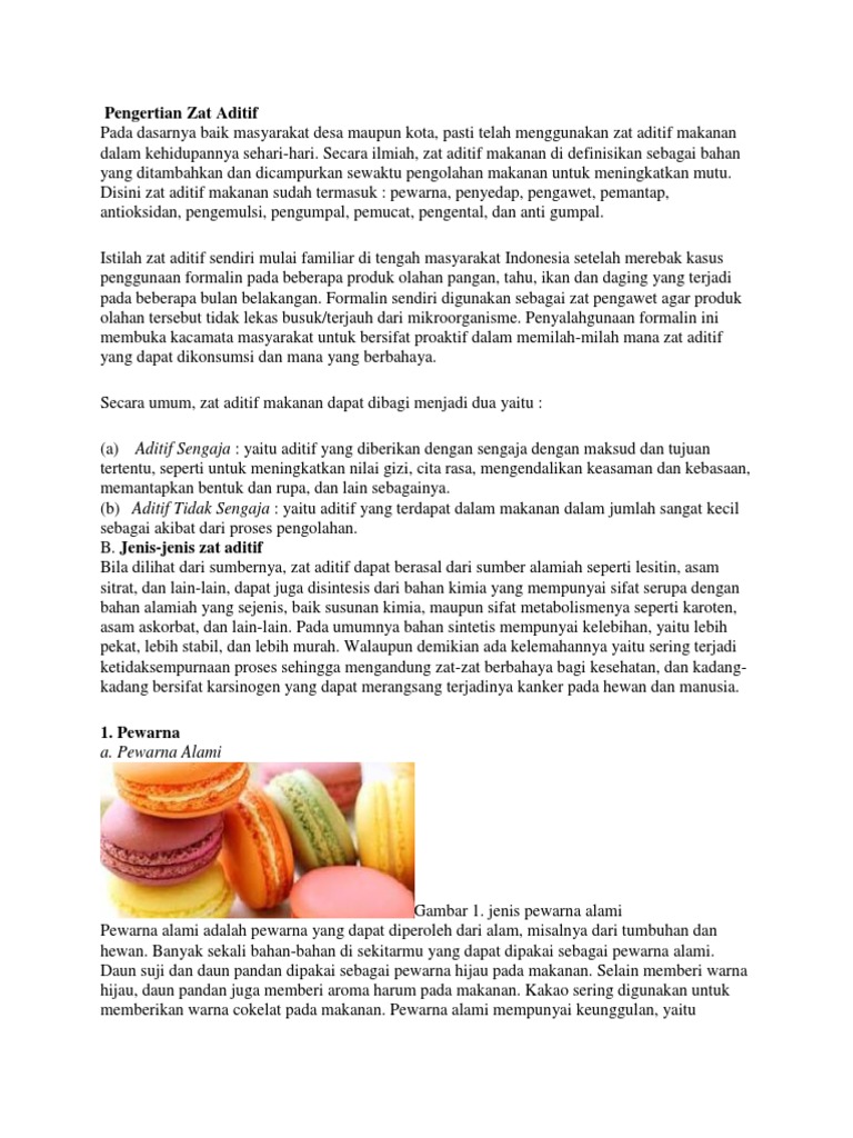 Zat Aditif Docx