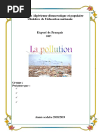 Exposé sur la Pollution et l'Environnement | PDF | Environnement ...