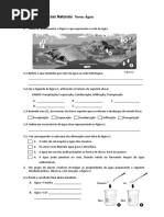 Ficha Sobre a Água