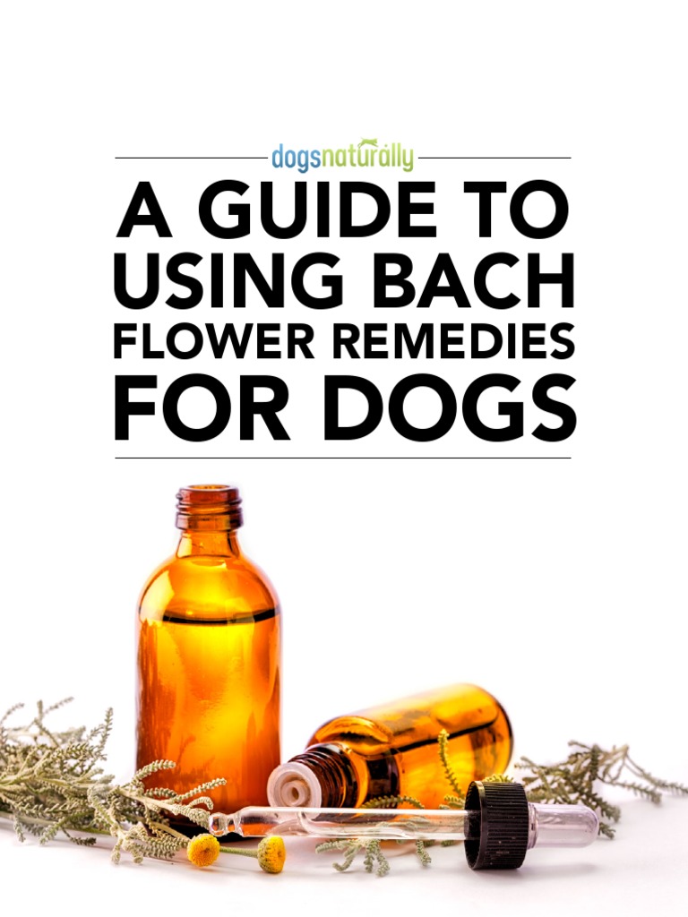Using Bach Flower Remedies For Dogs-2 | PDF | Dogs | Grief