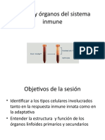 Clulas y rganos del sistema inmune.pptx
