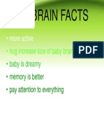 Baby Brain Facts - It