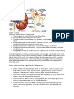 Gambar Ginjal Beserta Keterangannya