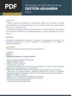 Plan de Estudio: Comercio Internacional y Aduanas | PDF | aduana | El ...