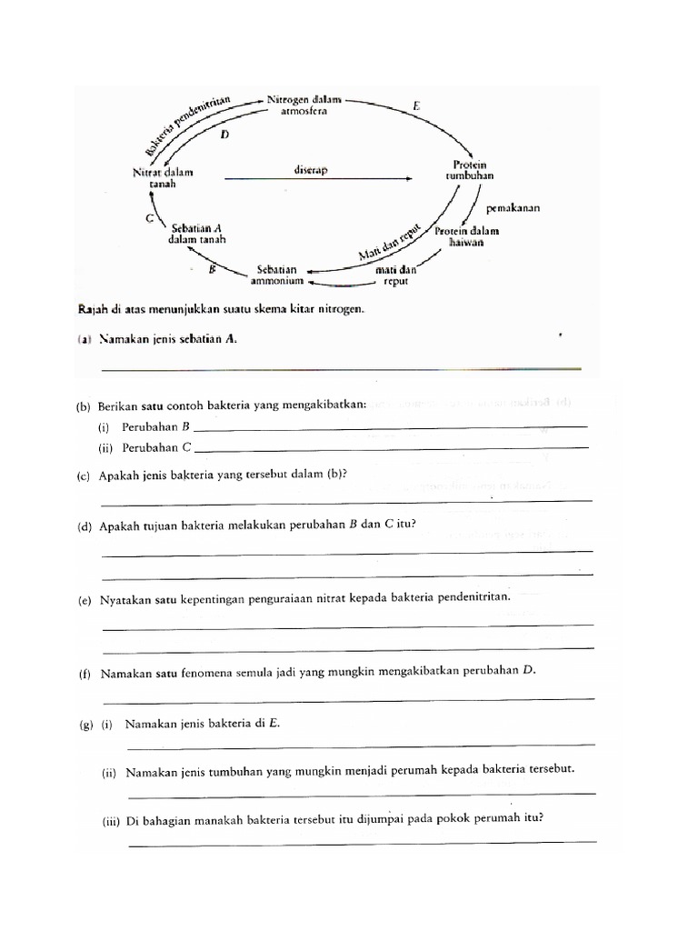 Latihan Kitar Nitrogen Pdf