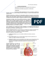 Sistema Respiratori 2