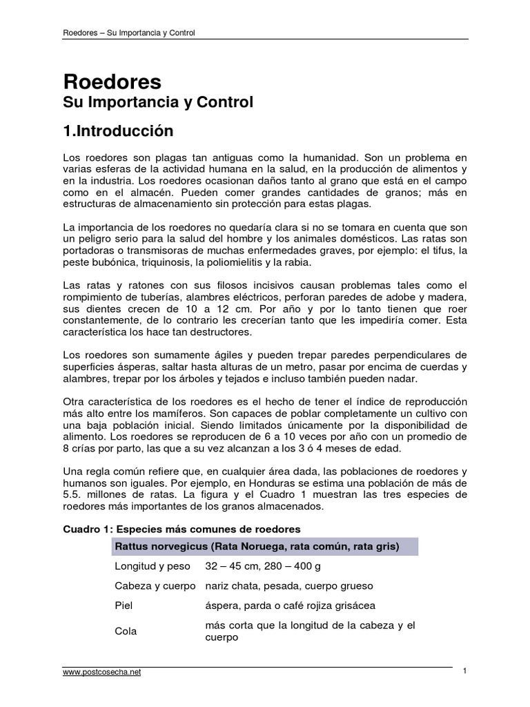 Control y Tipos de Roedores en España | PDF | Rata | Roedor