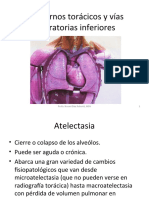 Trastornos Torácicos y Vías Repiratorias Inferiores