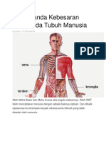 Tanda Tanda Kebesaran Allah Pada Tubuh