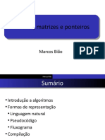 02 - Matriz Ponteiro Alocacao Dinamica