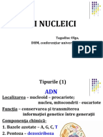 Acizii Nucleici Stom Rom 2018