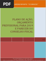 Plano Atividades e Orçamento 2019 (1)
