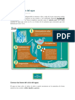 Las fases del ciclo del agua.docx