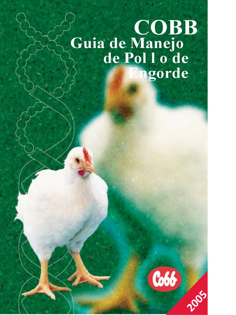 Guía de Manejo para Pollos Cobb 500 | PDF | Humedad | Agua