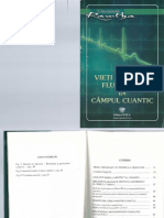 6.9. Vieti Paralele - Fluctuatii in Campul Cuantic - in Fata Semineului - Ramtha PDF