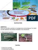 economia ambiental.pptx
