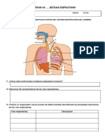 Ficha de Trabajo Sistema Respiratorio