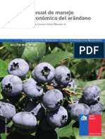 Copia de manual-arandanos.pdf