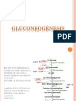 gluconeogeogenesis.pptx