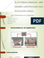 Transferencia de Embriones