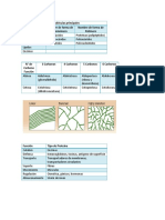 Biomoleculas